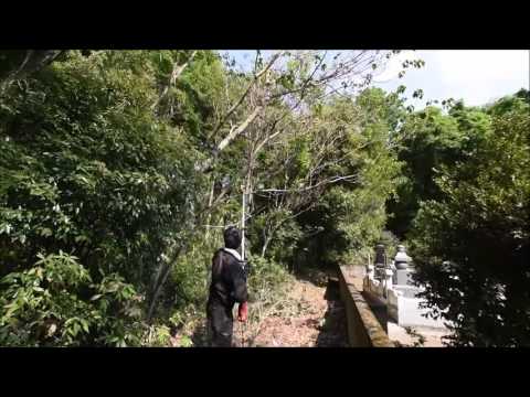 園芸 チェーンソー