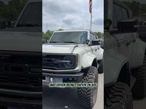 CUSTOM Cactus Gray Ford Bronco RAPTOR on 38s