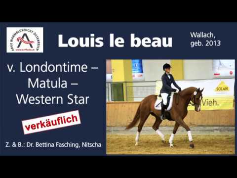 Louis le beau (geb. 2013), v. Londontime–Matula–Western Star *** ELITE VERKAUFSSCHAU 2019 ***