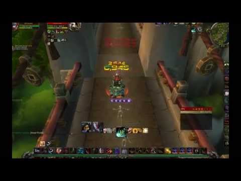 World of warcraft - rogue PVP - Olifanten