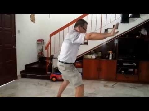 Iliqchuan (Chin & WuJi).Chan Hon Mun.Original "Lee Kim Chow" Butterfly & Lee Gar forms