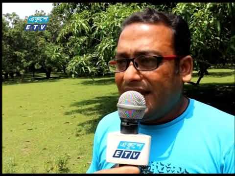 করোনা ভাইরাসের প্রভাবে ব্যাপারীদের আসা নিয়ে সংশয়ে চাঁপাইনবাবগঞ্জের আম ব্যবসায়ীরা