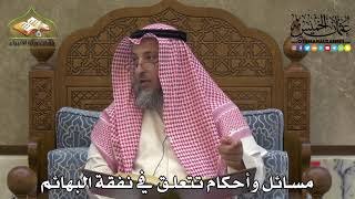 2294 - مسائل وأحكام تتعلق في نفقة البهائم - عثمان الخميس
