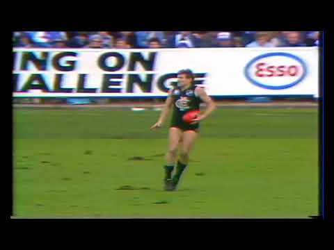 1984 Round 20 Carlton Highlights - Carlton vs North Melbourne