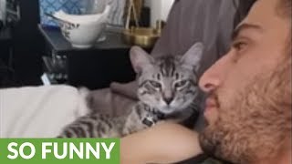 Cat only loves owner for his beard