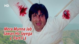 Mera Munna Jab Jawan  Lal Badshah(1999)  Amitabh B