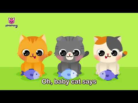 Oh, Baby Cat says meow | Pinkfong for Kids | Fathimatul Kaffah Nazira Channel
