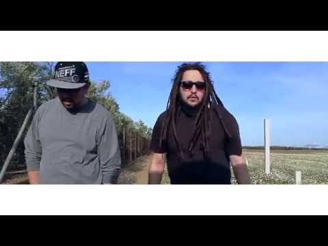 Cuando se marchen las abejas y vengan las moscas