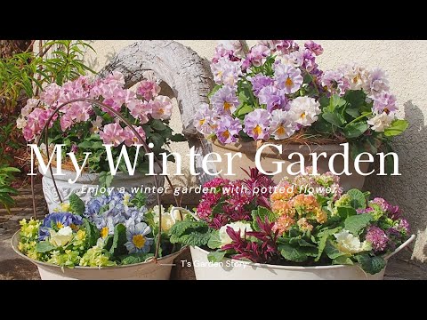 寒さや霜から木を守るために冬のベールを掛けるにはどうすればよいですか？  庭園