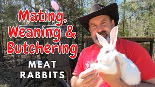 HOW TO Mate/Wean/Butcher Rabbits | Meat Rabbits 101 | Watch & Review