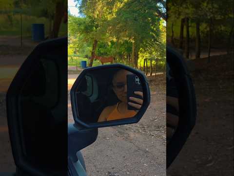 🌿 Un día habitando Traslasierra ☀️#argentina🇦🇷 #traslasierra #lascalles #monte #cordoba