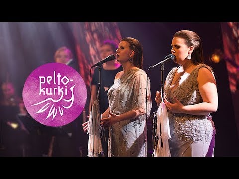 Peltokurki @Valvesali, Oulu 16.12.2018