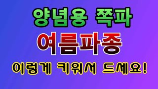 [텃밭농부. 1,173]  양념용 쪽파. 여름파종 이렇게 해 보세요 #쪽파재배