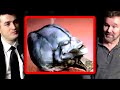 Truth about Atacama Alien skeleton | Garry Nolan and Lex Fridman