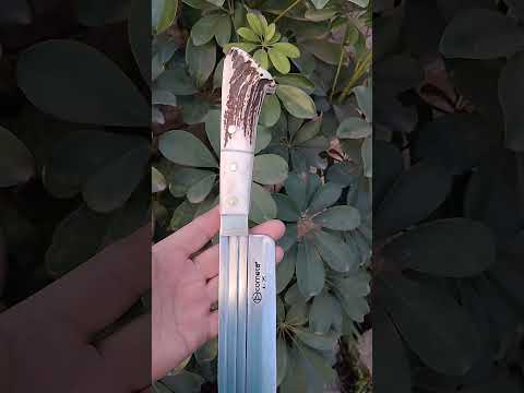 Corneta TRES RAYAS 30 Cm de Hoja Pedido Para Exequiel de Ibicuy Entre Ríos 📞1122625311 📦ATodoelPaís