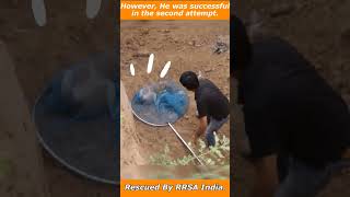 A Stray Dog fell into the Huge Pit. #shorts #rescued