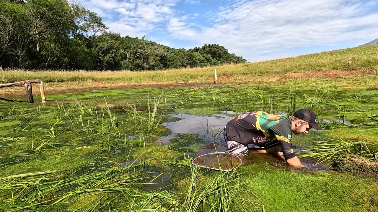 Achei uma toca de cascudo, não acredito que estava lá dentro
