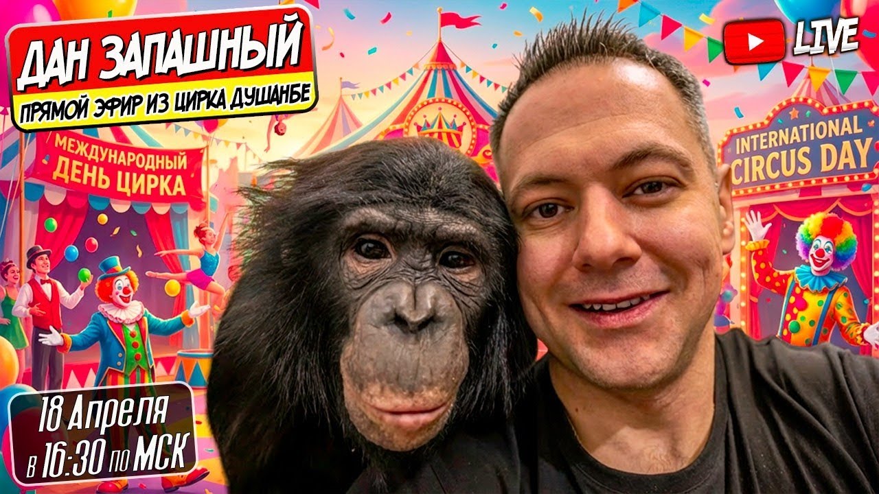🔴 Международный День Цирка в Душанбе с Даном Запашным и Шимпанзе Боней