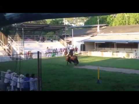 Escandalo de San Marcos Feria de Neiva grado B 2014