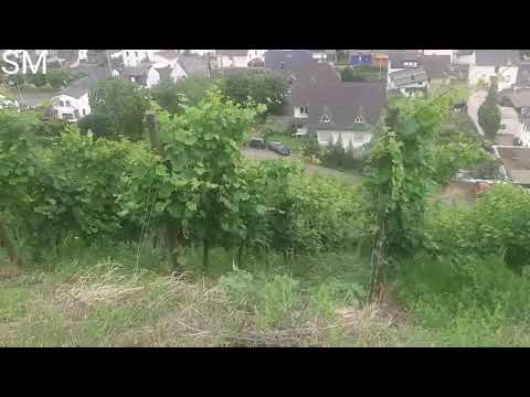 Germany , Leutesdorf