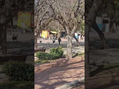 Paseando por el Parque Gral San Martín, Mendoza