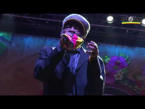 MISTY IN ROOTS live @ Main Stage 2019