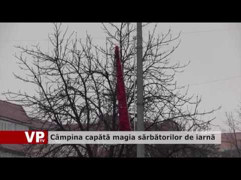 Câmpina capătă magia sărbătorilor de iarnă