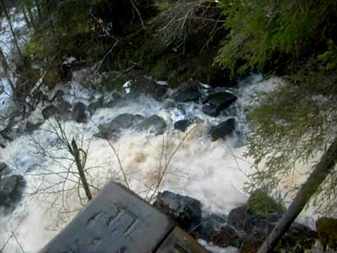 Korkeakoski Rapids, Maaninka, Finland, May 2, 2010, video 1