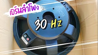 เบิร์นลําโพงซับวูฟเฟอร์ 30Hz low frequency