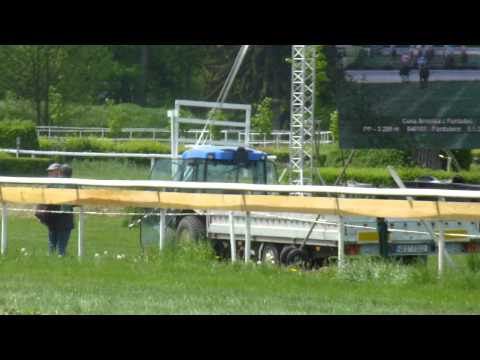 Pardubice 8.5.2015 - SIR BLACK