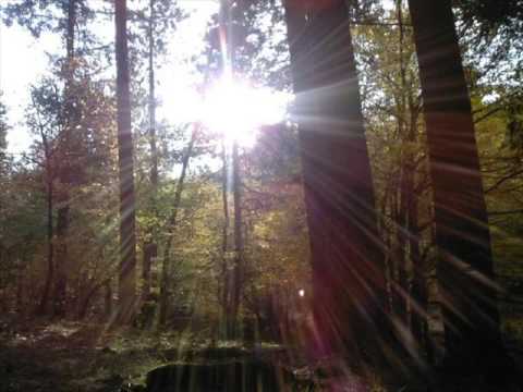 download lagu mp3 mp4 My Love For You Is Endless, download mp3 My Love For You Is Endless free download, download mp3 My Love For You Is Endless