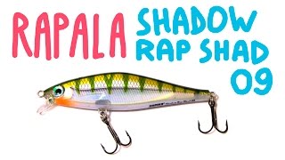 Rapala shadow rap shad deep-sdrsd09
