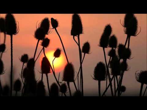 Airija - Kaip rūkas