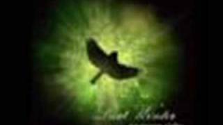 Last Winter   Vela to Norma