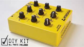 Video thumbnail for Rare Waves Hydronium: DIY acid synth by EA78751