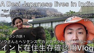 【インド在住 Vlog 】『スリランカ旅①ゾウさんとヘリタンスでカンダマラなシギリヤ〜編』 #srilanka #sigiriya #heritancekandamara #japanese