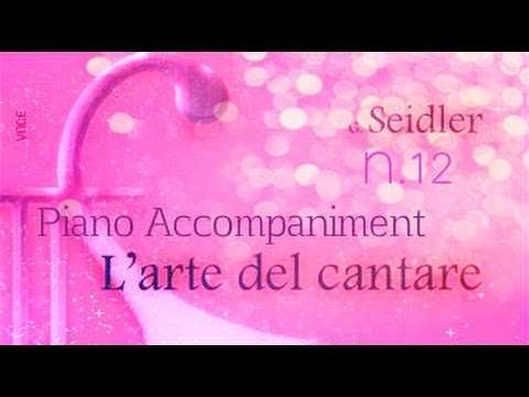 Seidler n.12 - Piano Accompaniment (Play-Along)