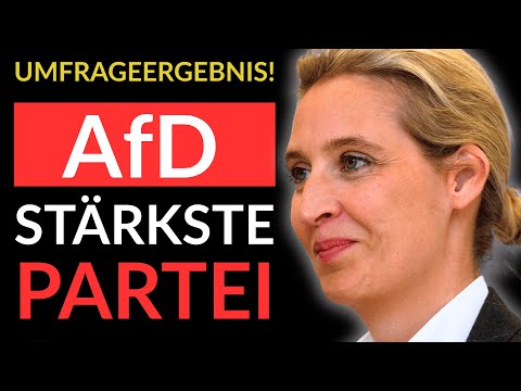 💥EILMELDUNG! AfD ZERLEGT SCHWARZ-ROT KOMPLETT💥