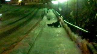 preview picture of video 'нереальные отморозки в городе на сноуборде'
