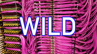 WILD Cloud Hardware at OCP Summit 2021