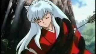 Inuyasha Inuyasha