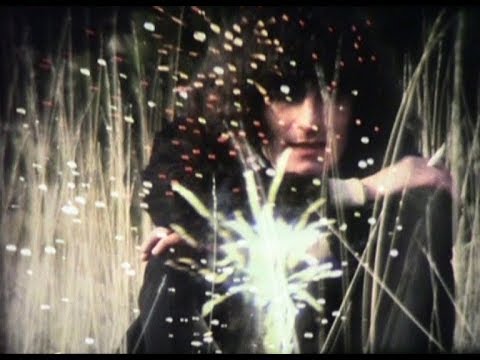 Philippe Garrel à Digne (Second voyage) (1979) de Gérard Courant