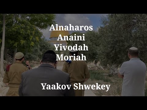 Alnaharos - Anaini - Yivodah - Moriah by Yaakov Shwekey - lyrics