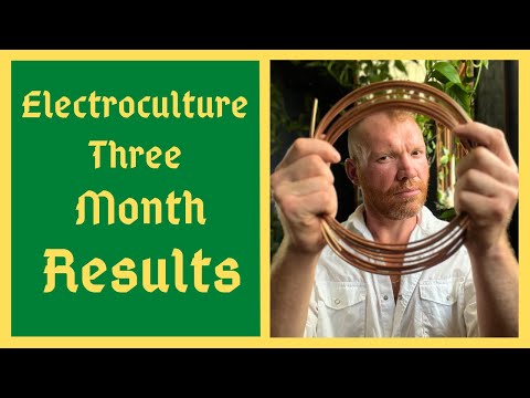 Electroculture RESULTS Are Here! - Direct Side By Side Comparison - 3 Month Experiment