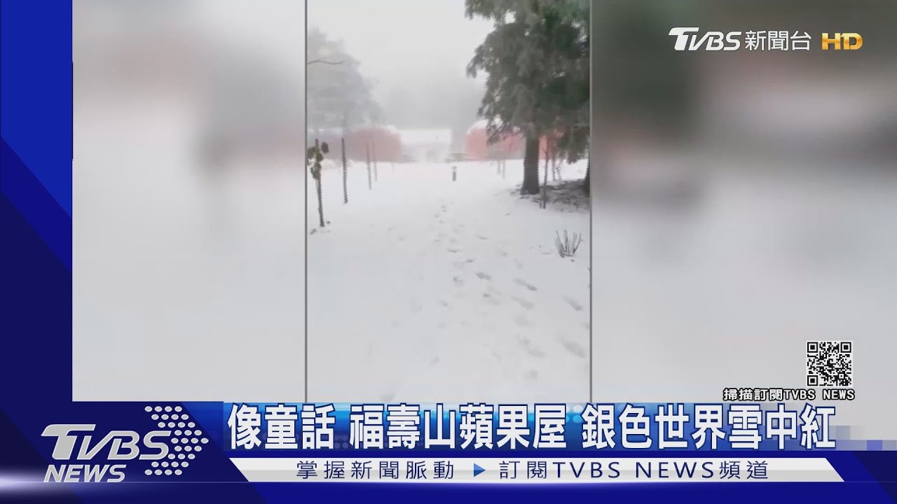 像童話!福壽山蘋果屋 銀色世界雪中紅