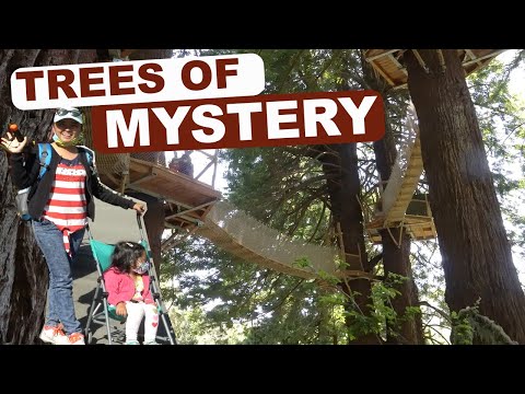 image-How much is the gondola ride at the Trees of Mystery?