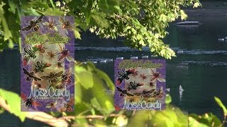 Lights of Kingdom Come (Bill Nelson)