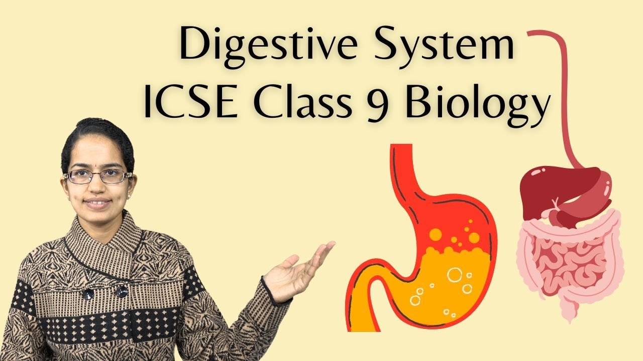 Digestive System - Buccal Cavity, Small Intestine, Large Intestine | ICSE Class 9 Biology