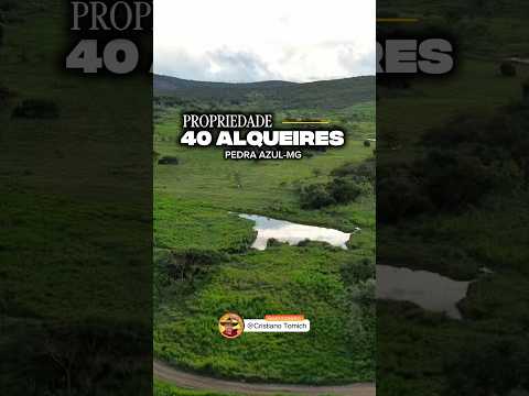 EXCELENTE PROPRIEDADE 40 ALQUEIRES REGIÃO DE PEDRA AZUL-MG R$ 2.5 MILHÕES #luxo #fazenda #gado #agro