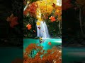 Krishna Status Shree Krishna Bhagwan Bhajan Status Lord Krishna Beautiful WhatsApp Status